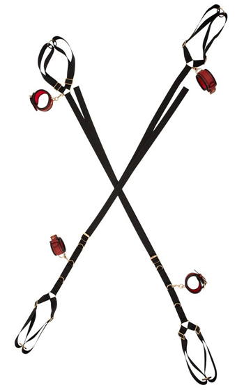 Bed & Door Restraint Set