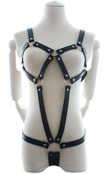 Body Harness