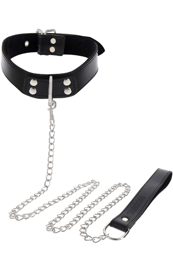 Elegant Collar & Chain Leash