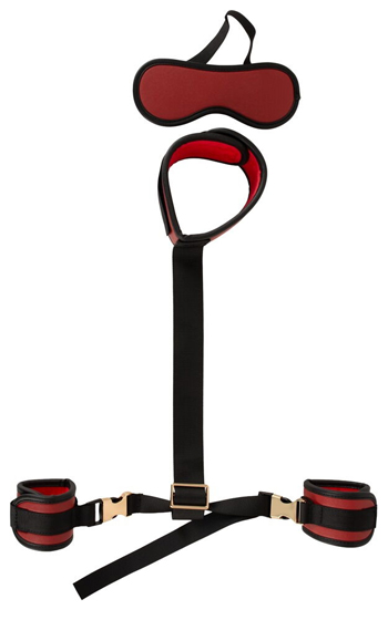 Neck To Wrist Restraint Set